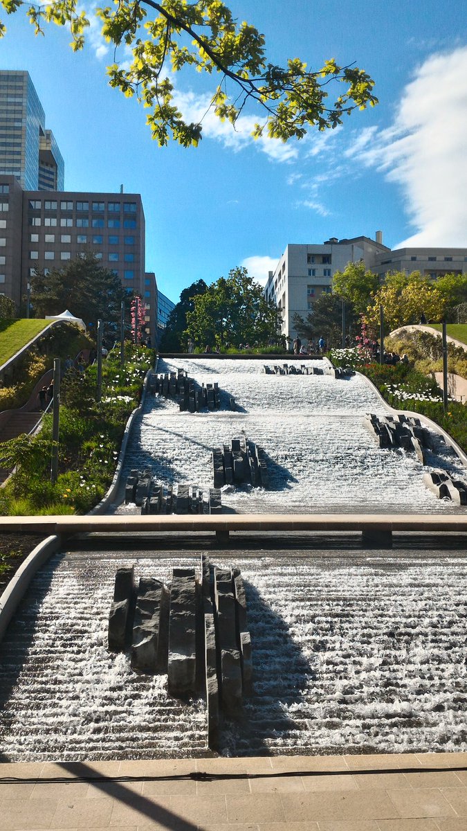 SDuvernet's tweet photo. Un peu de fraîcheur et de verdure à @LaDefensefr sous un beau soleil #laDefense #parcDiderot https://t.co/IamRqLsuf4
