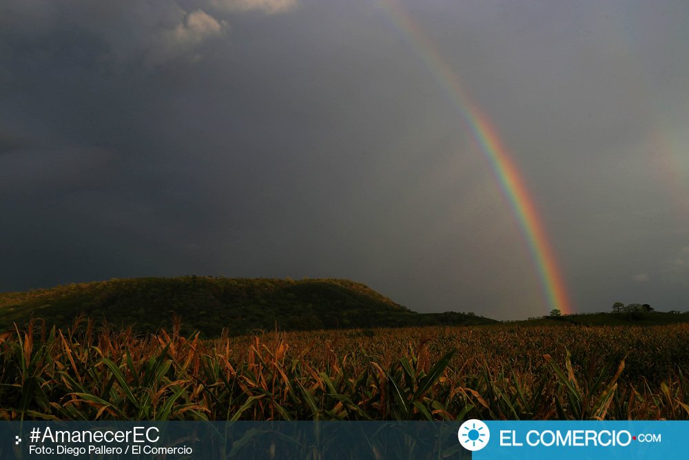 elcomerciocom's tweet photo. Sí hay algo en Manabí que siempre está de pie es su belleza. En el #amanecerEC llegamos a la parroquia Las Peñas https://t.co/Ni6S5IJyg6