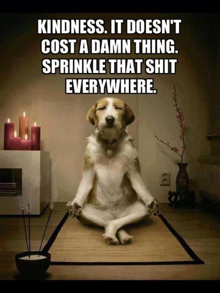 ADevotedYogi's tweet photo. and the word of the day is #Kindness

share it with the #world

thank you 

#Namaste https://t.co/uYl56FPUnj