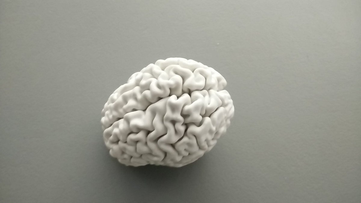 Info_Activism's tweet image. only till monday #nervoussystems things you will miss Mike Crane #ChoiceModeling tacticaltech.org/projects/nervo… @HKW_Berlin