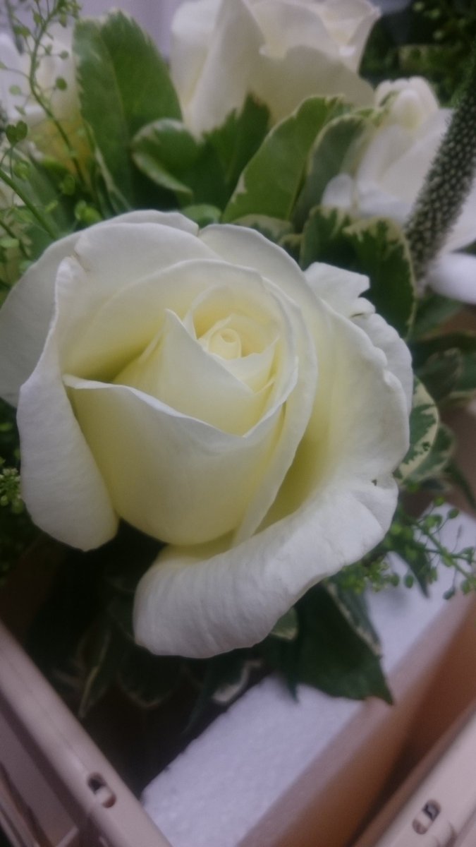 Lovely to see beautiful wedding flowers today from <a href="/StMellion1/">St Mellion Flowers</a> <a href="/BamhamWeddings/">HigherBamhamWeddings</a>