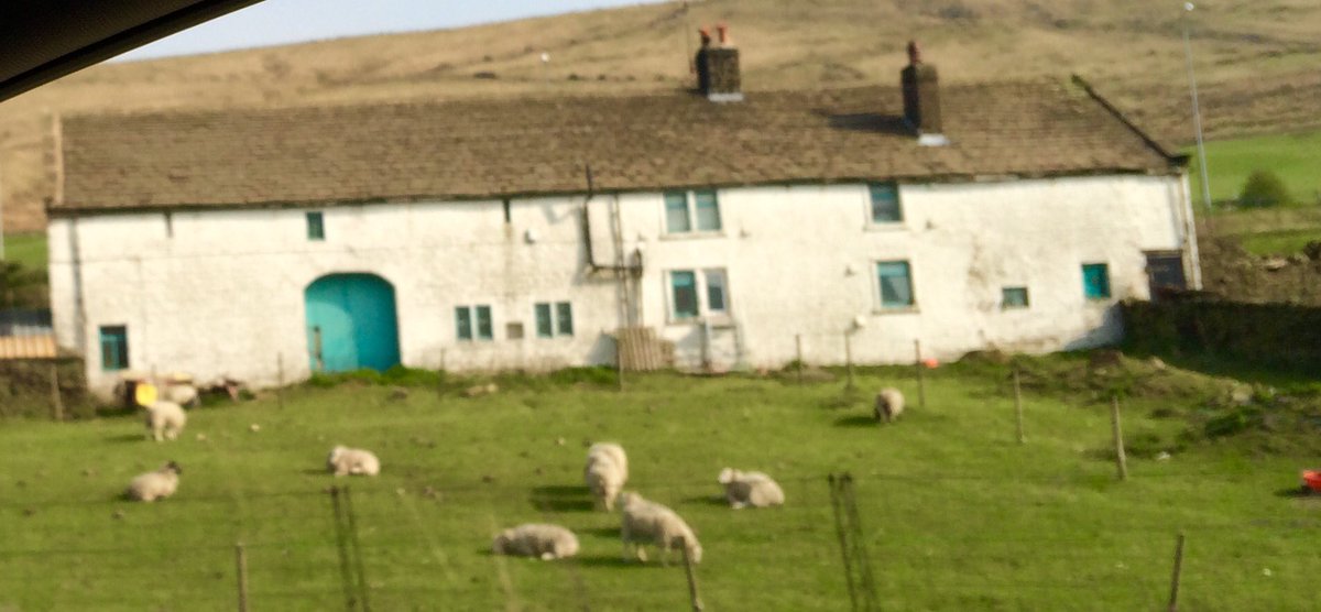kermitellis's tweet photo. Passed our #M62 #Landmark @TheM62Farm 😍 nearly home 🏡 #Huddersfield #iloveHD #Yorkshire 🐸 https://t.co/TlIzmi44jO