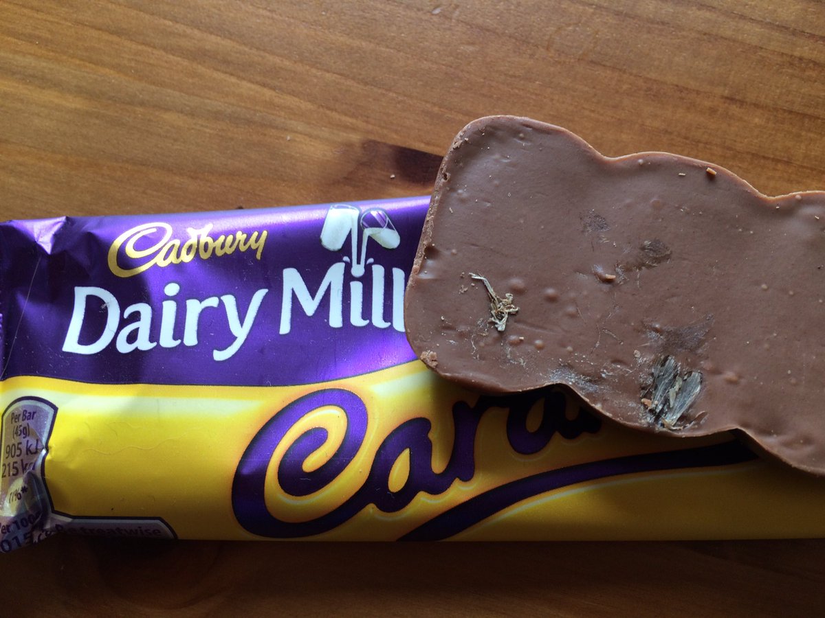 _gem_gem's tweet photo. @CadburyUK I thought that Cadburys Caramel was safe for vegetarians.... Apparently not! #deadflyinmychocolate https://t.co/4vrYYesg1D