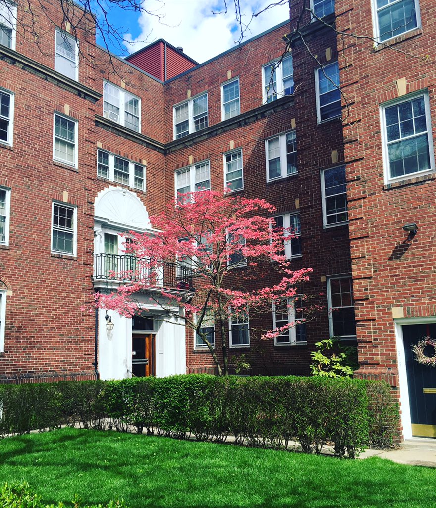 livecobu's tweet photo. Saturday home views 👌🏻🏘👌🏻#multifamily #placemake #multiawesome #belong #joindoorbell https://t.co/lyGc50QFcP