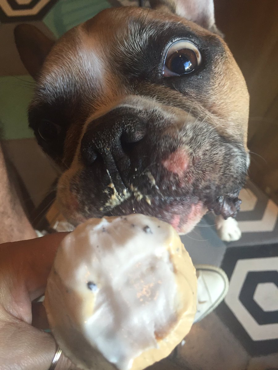 Cheat day!