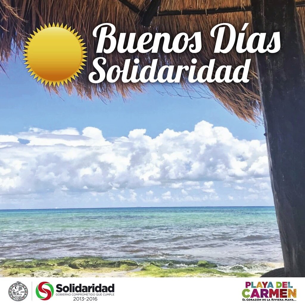 PPGuillermoArce tweet media