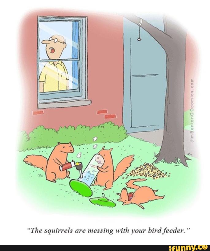 sitalinn's tweet photo. #squirrels #getting #high 
https://t.co/OMCUKlzL8M
#iFunny https://t.co/906flOSo8u