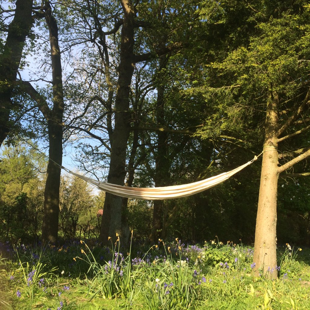 1RossKenyon's tweet photo. First Hammock day of the Season sandwiched between a Met Office Snow report and Storm Report #VeryBritishProblems https://t.co/tFMMUz8Zg7