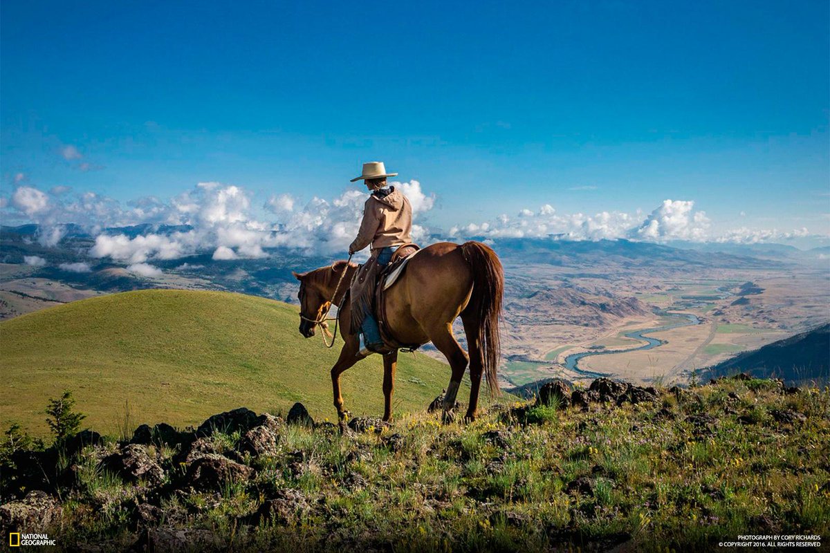 What Yellowstone can teach us about coexisting with wild places: on.natgeo.com/1rCYK7O