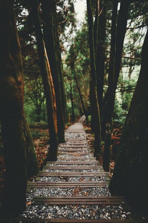 adventurful's tweet photo. Places I'd rather be 😍 https://t.co/MtXp0jPKpR