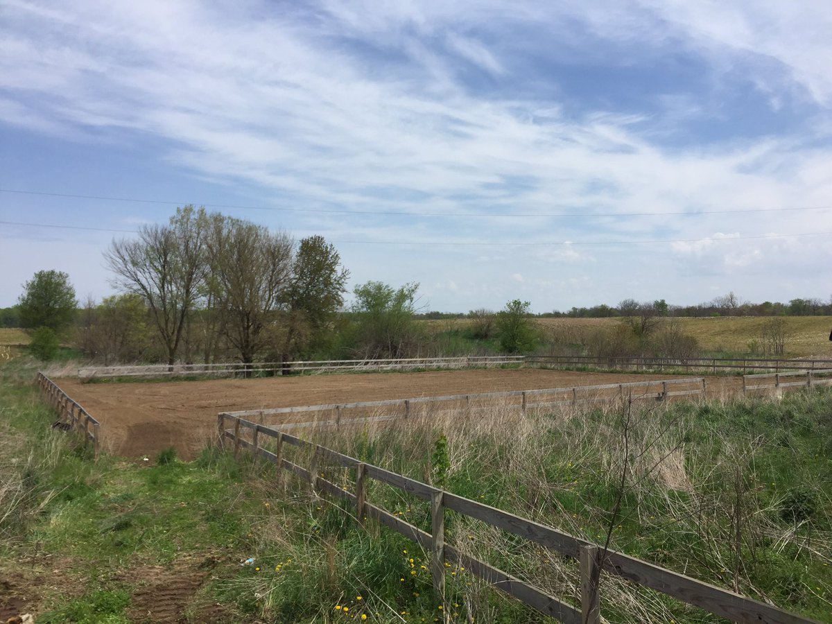 DigItExcavating's tweet photo. Reclaiming an overgrown horse riding arena. #ridingarena #paladin #harleyrake #cat299d #digginit https://t.co/c9y6qFM34y