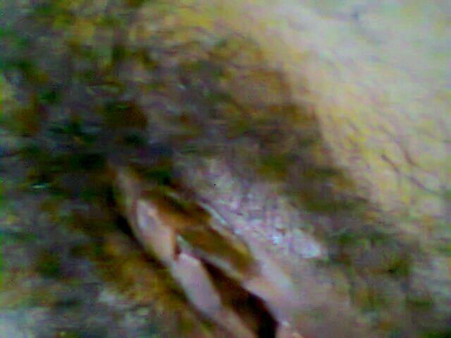 Amos2508's tweet photo. puki mikhe ardila mundo, cwe raja ampat https://t.co/v6NaHEQnL1
