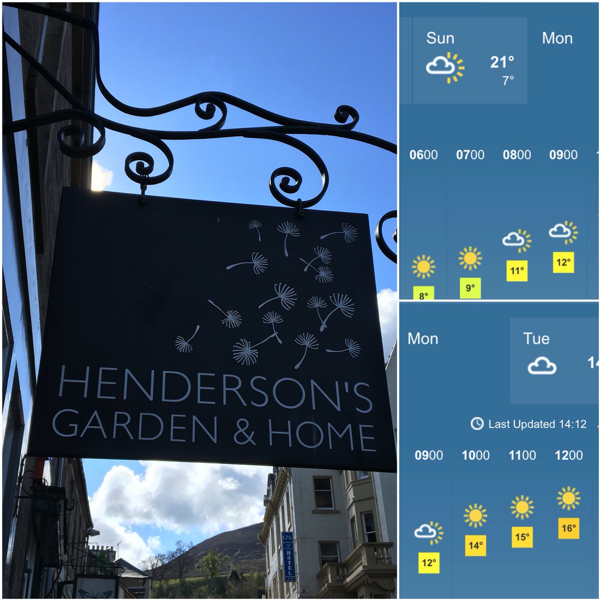 eclectic_garden's tweet photo. Can't wait for this weather to arrive in Melrose over the next couple of days! Hurrah! https://t.co/NByG71rtiF