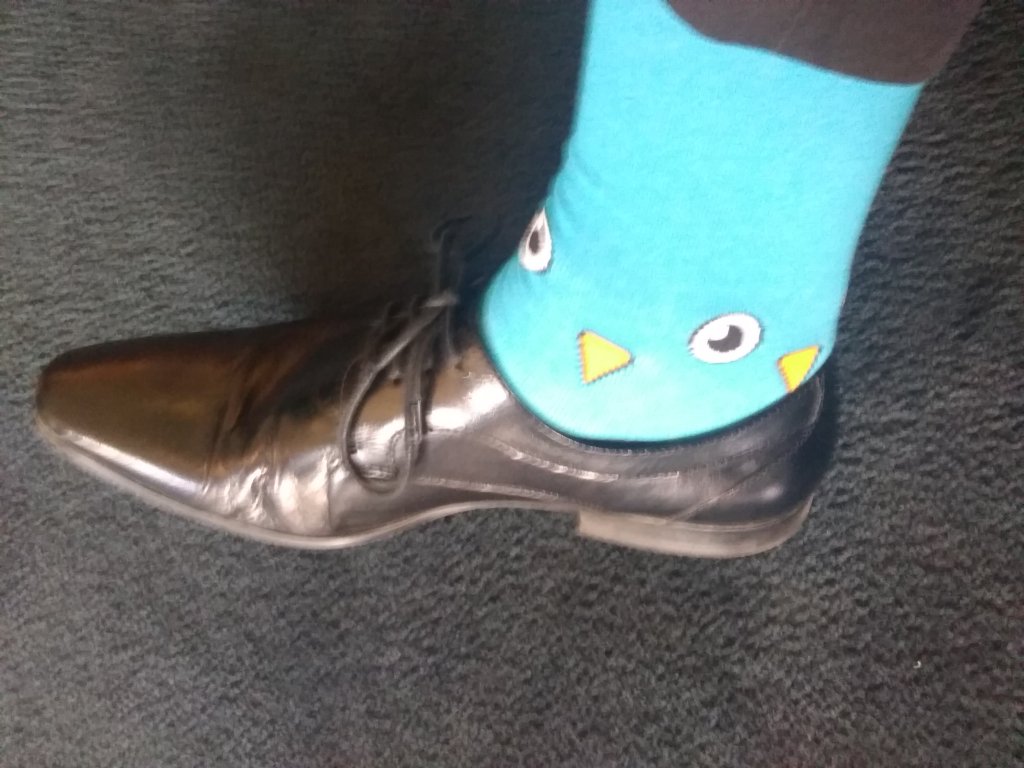 bruchev's tweet photo. @NAIT oh you know I am! ;) #ookpride! I even own two pairs now! #ookforlife https://t.co/rU1XcwbRek