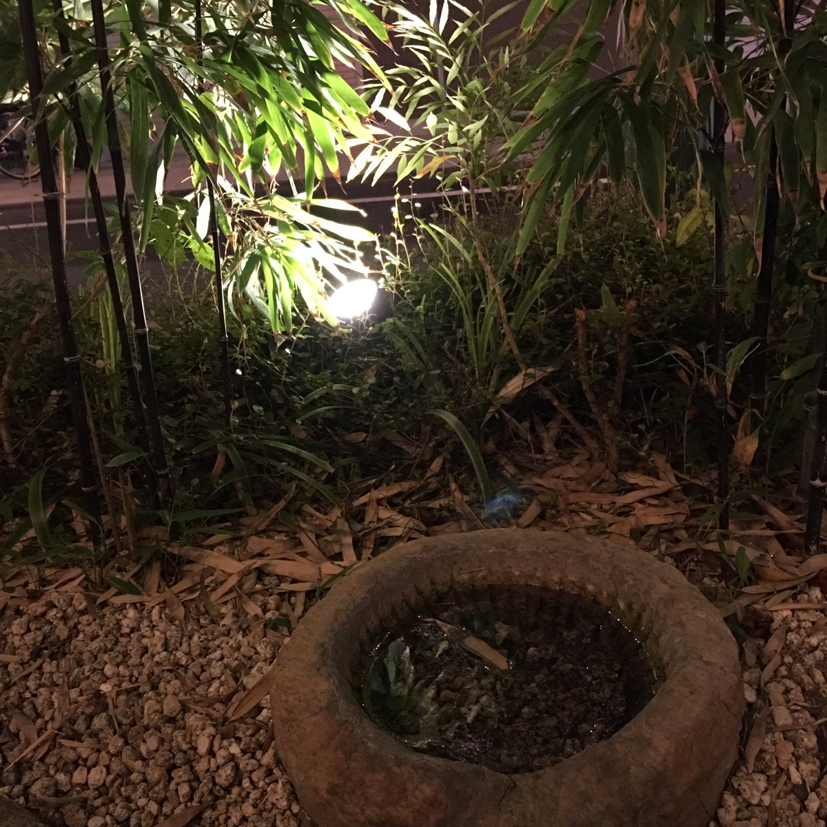 ajapai's tweet photo. dinner at Engawa 🇯🇵 #traditionalmood https://t.co/hWXPyaCUk9