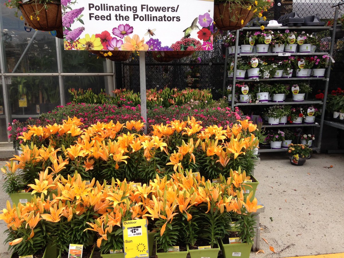 PPSLinda's tweet photo. HD3625 Asheville #MoreforMom @PPSinHD @BobbyBoaenTHD @CringerPPS @DouthitChris https://t.co/nI3ptVyNfH