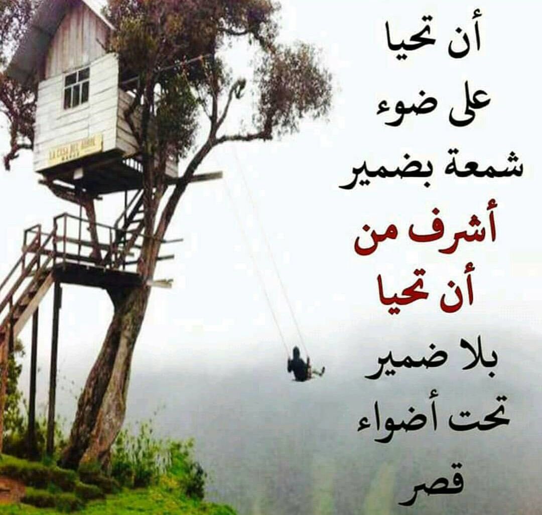 maryam tweet media