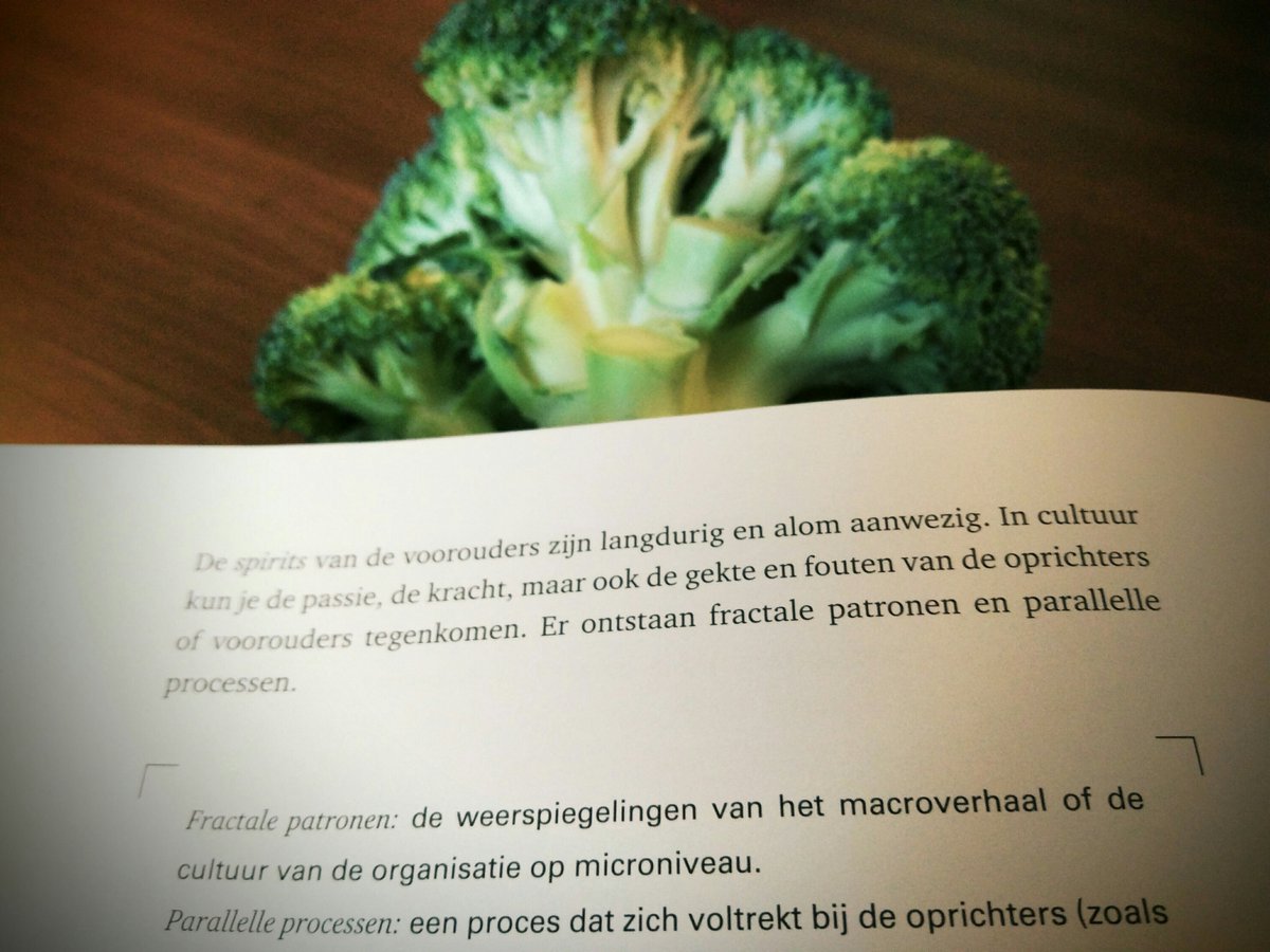 guidoable's tweet photo. Fractale patronen: de weerspiegelingen van het macroverhaal van de organisatie op microniveau #CorporateTribe #p216 https://t.co/SROJ6hEKC3