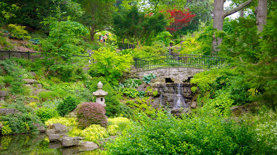 Leroy Rodrigues tweet media