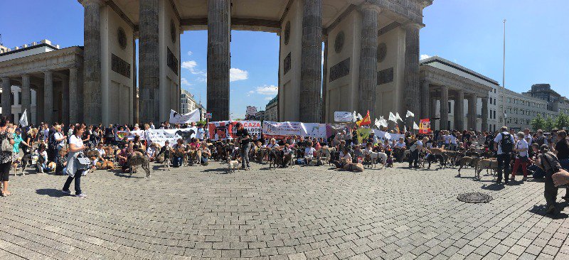 ¡Hoy PACMA ha estado en Berlín pidiendo a Europa que presione para frenar la matanza de perros de caza en España!