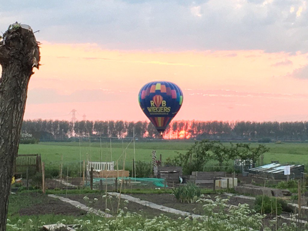 EwoutWolff's tweet photo. Zomer tafereel: ballon en zon besluiten samen onder te gaan- https://t.co/Tsrz1gheda
