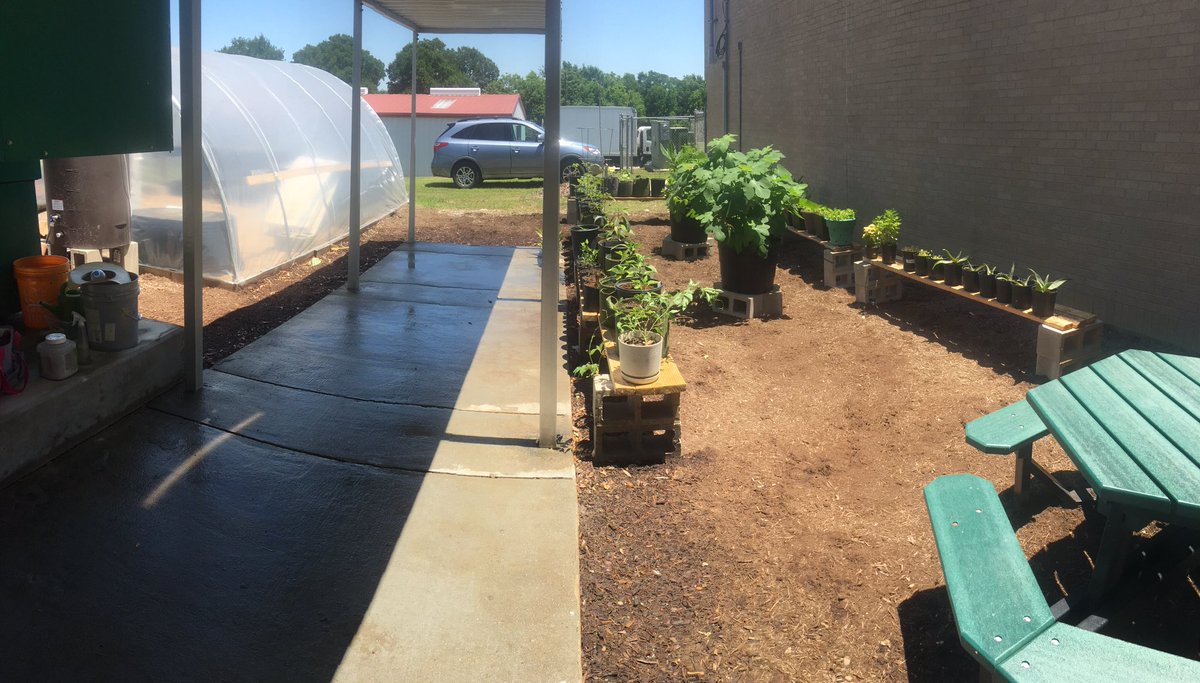 ManorGrows's tweet photo. Greenhouse was starting 2 get 2 hot.Need 2 work on ventilation.Moved everything outside.Looks Awesome #manorisd https://t.co/dNczWVKS40