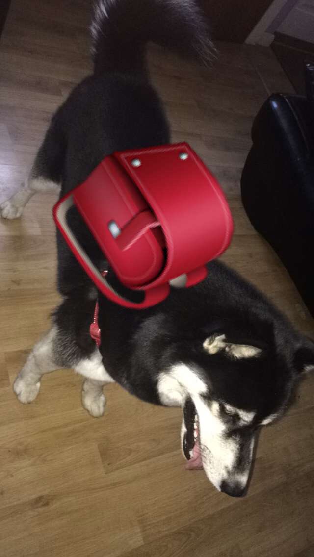 VikDemonstrator's tweet image. 