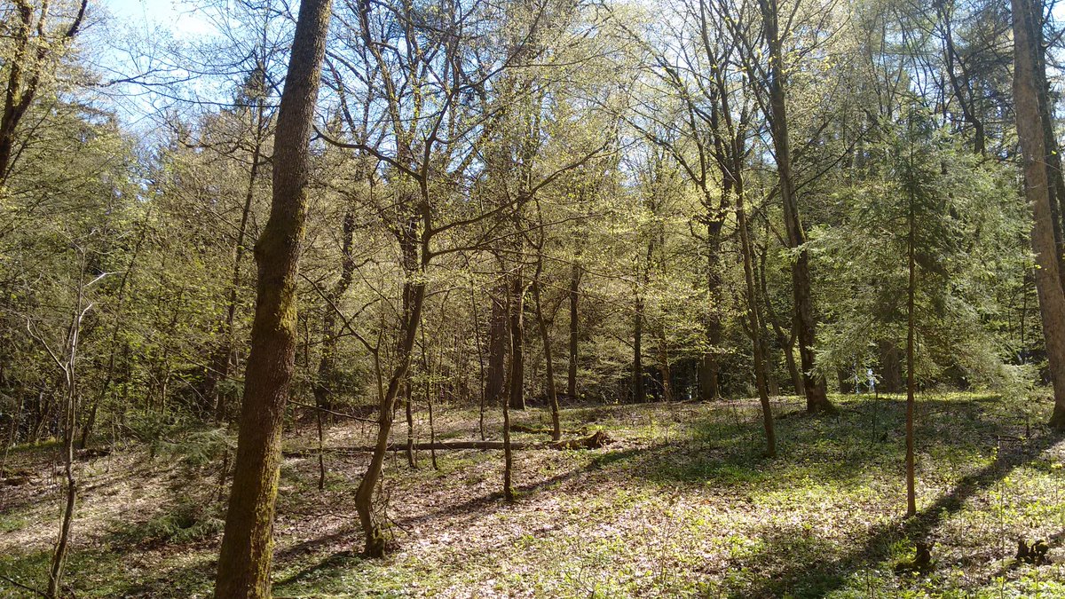 Andy981117's tweet photo. Wanderung im Harz:)
#benneckenstein #familie https://t.co/7E0J0OEXbf