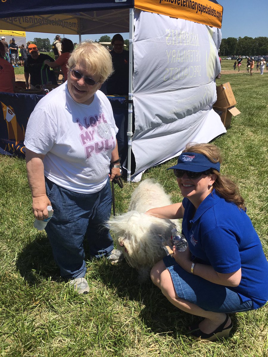 judgevalerie's tweet photo. Beautiful day at #dogaroo @ShelbyFarmsPark! Making new and furry friends! https://t.co/0scv0zZDnF