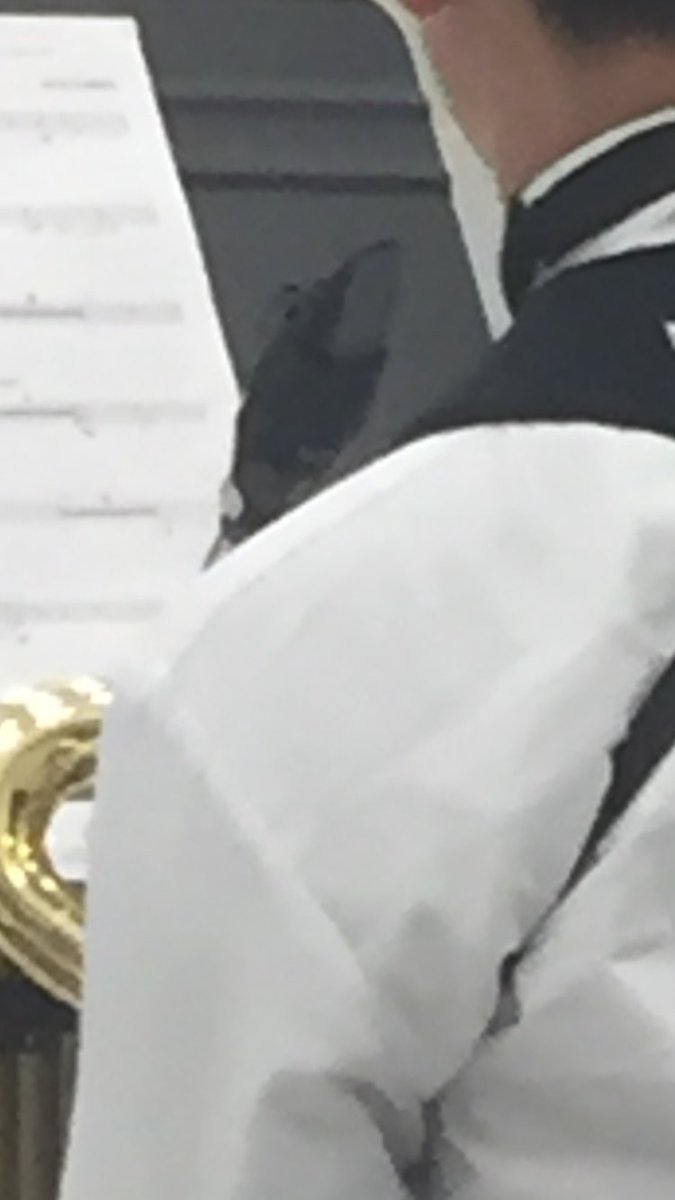 Shockiegurl's tweet photo. Why is his reed the same color as the music stand @jsunnayyyy #WoodwindProblems 😂😂😂 https://t.co/Ab2ucCWv5V