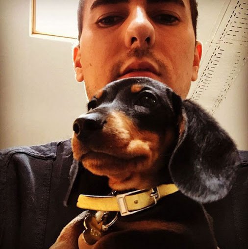 bestlinkweb's tweet photo. La cuenta de Instagram del perro de Jorge Lorenzo arrasa.
#jorgelorenzo #destino #cachorro #dog #perro #pet #mascota https://t.co/X1n6ZuDL6x