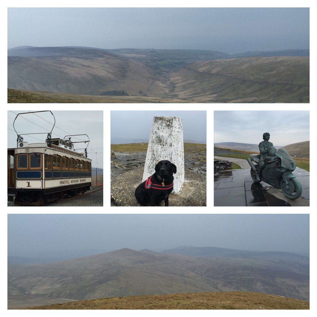RoisinEB's tweet photo. shared my hike up Snaefell with a lovey doggy mountaineer today @mssocietyuk #trainingforkili #IOM #snaefell #dogs https://t.co/WldssrSPwm