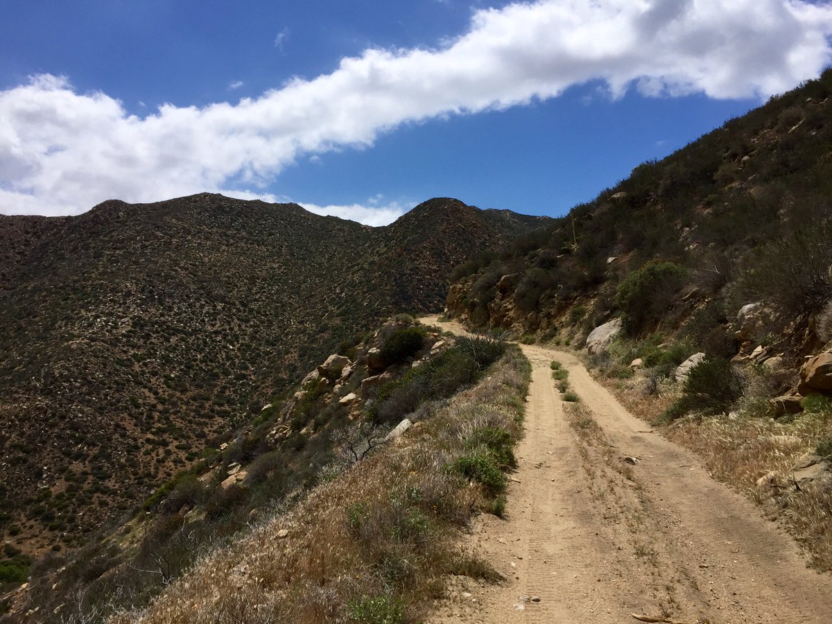 activeharmony's tweet image. Recap of the Lost Boys 50 is up on the blog! bit.ly/24BrsIj Thanks to @CliffsMeadows for a top-notch race!