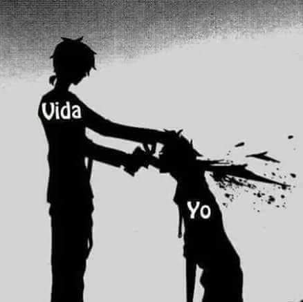 Antobo111's tweet photo. Clara imagen de la realidad https://t.co/Vw45Q7mG8f
