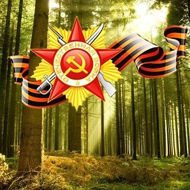 Акция "Лес Победы": обратный отсчет начался  m.vk.com/wall-101481312… #ЛесПобеды #Посадисвоедерево #Нашлес