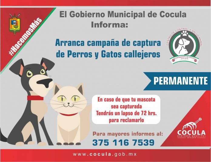 DefensaAnimal's tweet photo. Estas campañas no resuelven nada, esterilización y tenencia responsable sí. Escríbele al pdte municipal, dile #AsíNo https://t.co/k34TL5yAJR