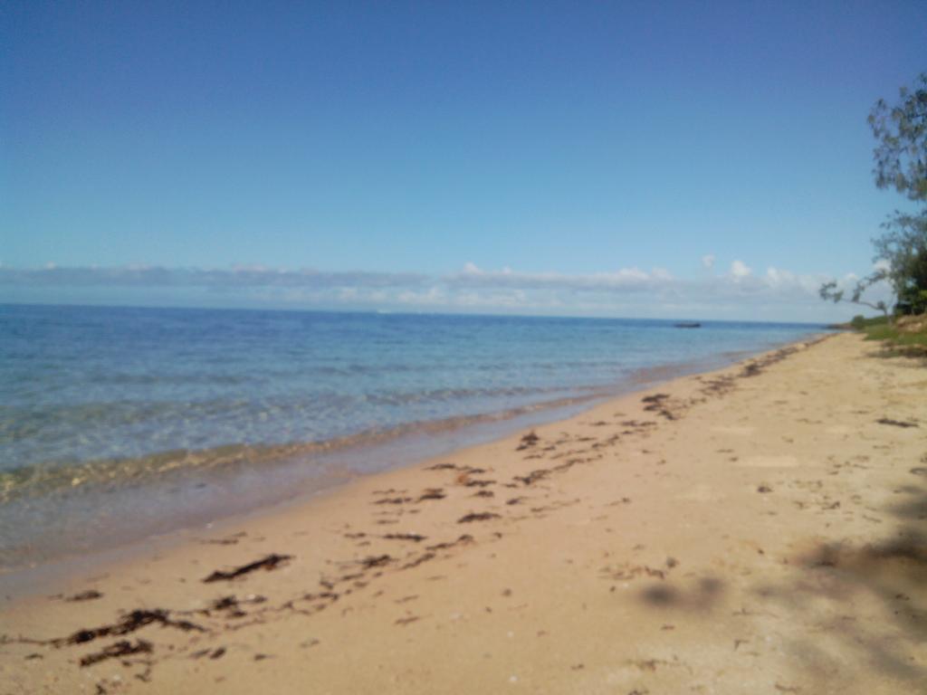 bouba_exentrix's tweet photo. Un morceau de paradis et puis ça
#JaimeLaCaledonie
#Pindai
#LaBetiseHumaine https://t.co/Bvtry0yvMw