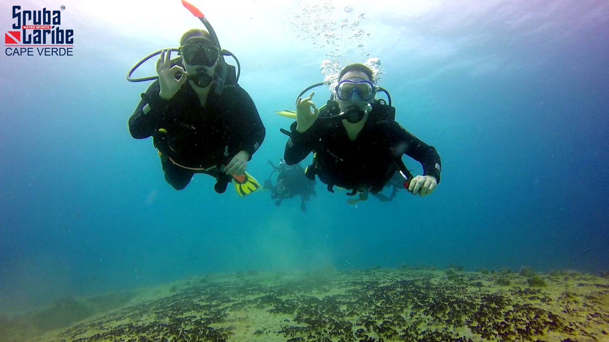 DigalanDiver's tweet photo. Steven and Ivy from Belgium during first #dive after conclude the @PADI #OpenWaterDiveCourse whit @ScubaCaribe - Sal https://t.co/OV96YkMpcX