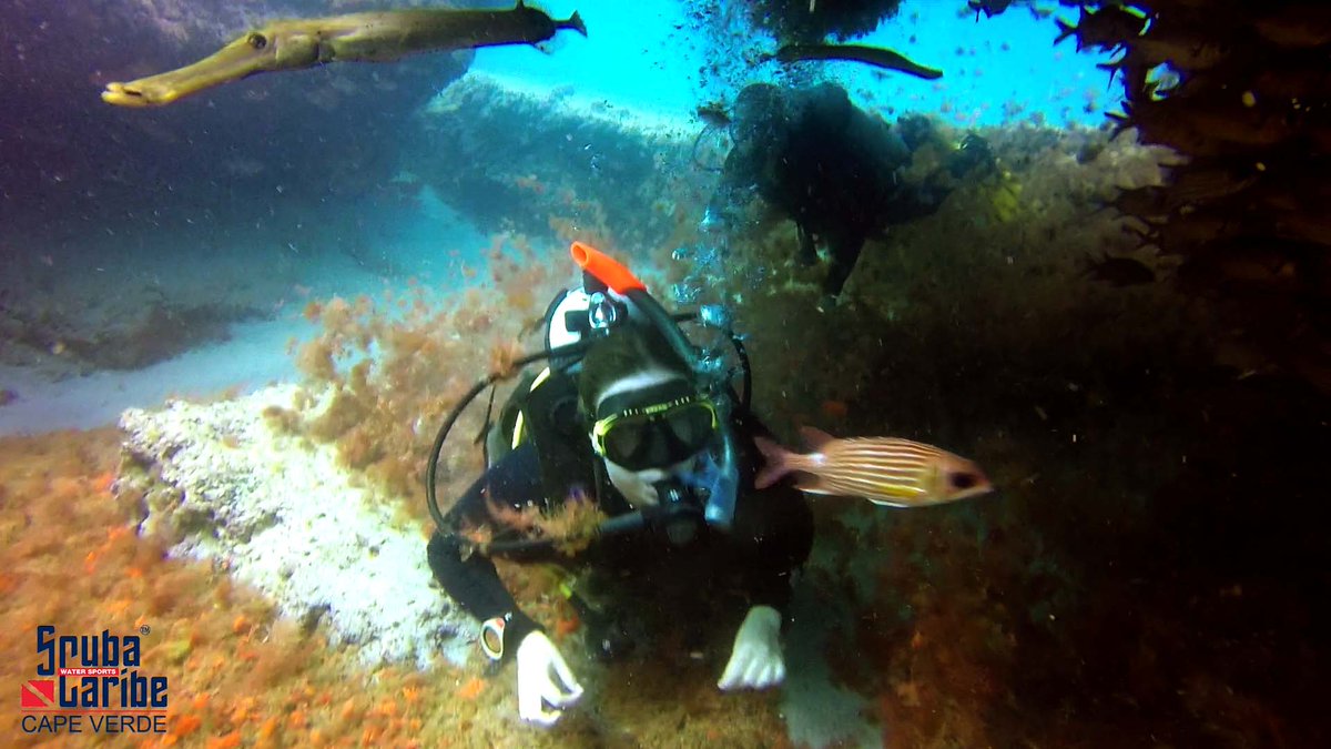 DigalanDiver's tweet photo. Steven and Ivy from Belgium during first #dive after conclude the @PADI #OpenWaterDiveCourse whit @ScubaCaribe - Sal https://t.co/OV96YkMpcX