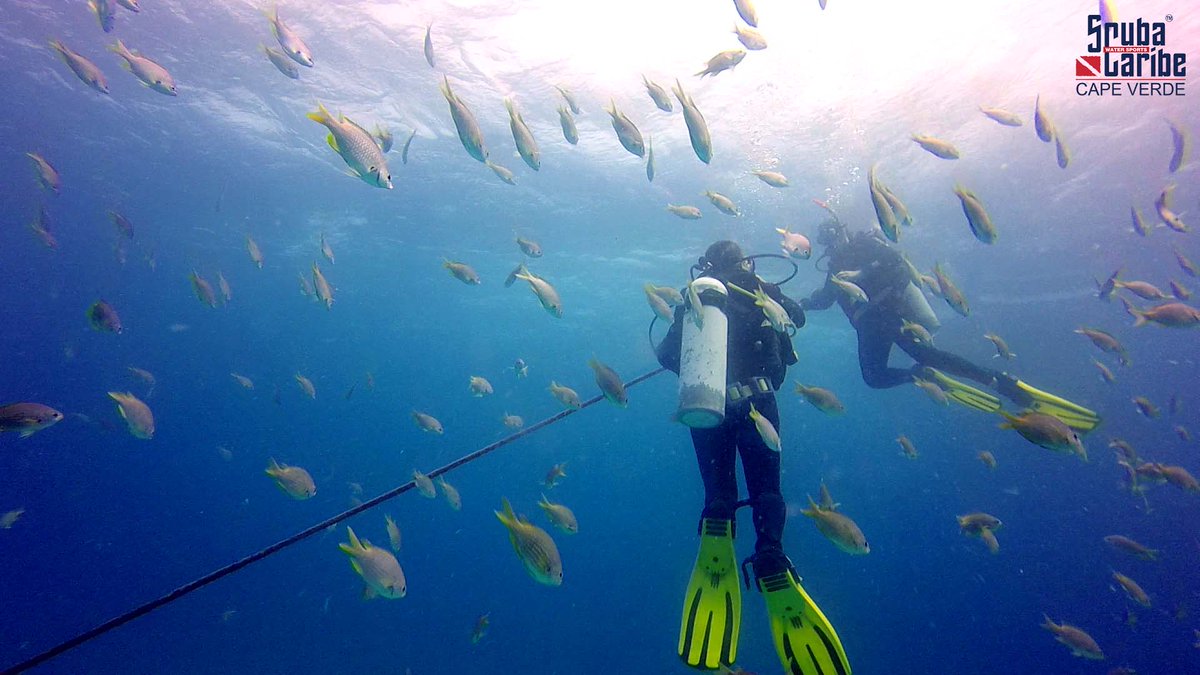 DigalanDiver's tweet photo. Steven and Ivy from Belgium during first #dive after conclude the @PADI #OpenWaterDiveCourse whit @ScubaCaribe - Sal https://t.co/OV96YkMpcX
