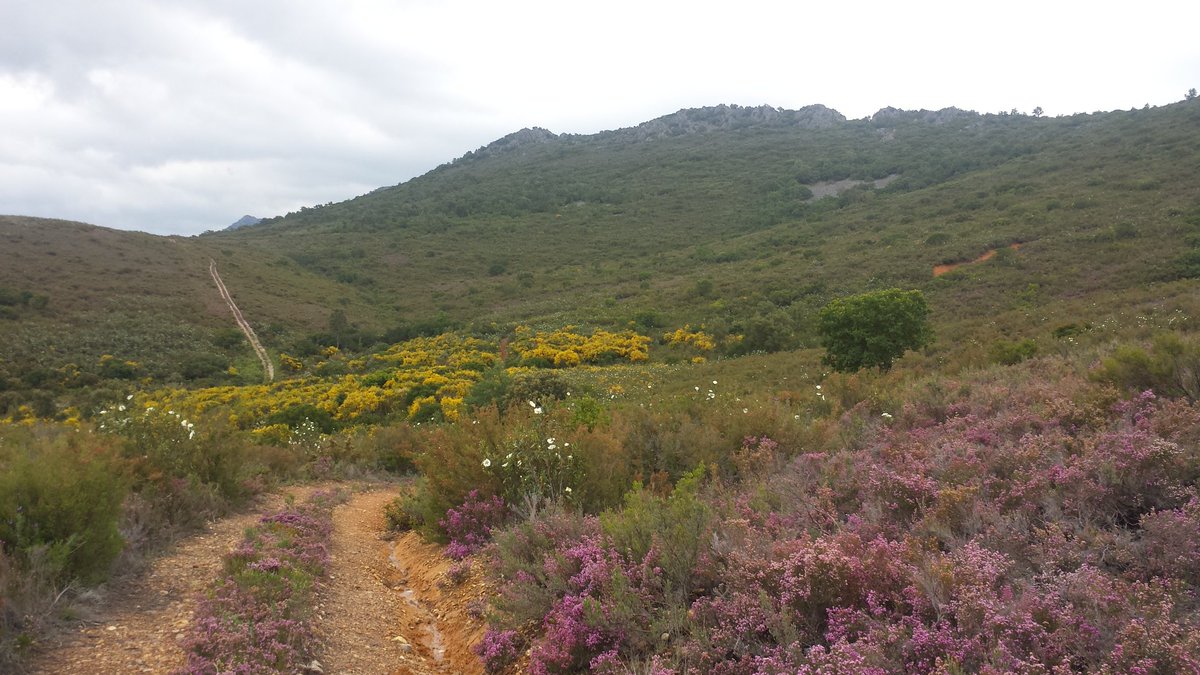 El_Aguardista's tweet photo. Vistas del coto nuevo, aquí debo de ganar la batalla al duende https://t.co/xbk11TSAiF