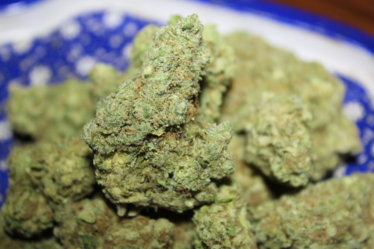 WeedSmokinJesus's tweet photo. #Blackberry Strain Information https://t.co/Me76705pvz via @leafly #MyLeaf  #Cannabis #Marijuana Shot by @thedhalls https://t.co/MFnR60wwSW