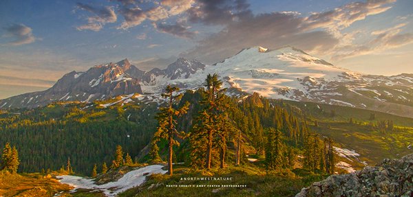 Conserve_WA's tweet photo. Have a quiet moment in nature &amp; tell your mom you love her. State parks are free on #MothersDay! https://t.co/vPG8e90bOK