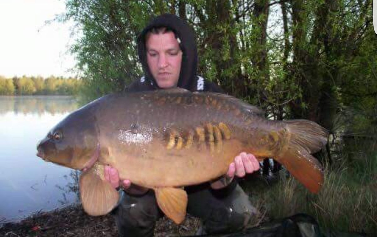 DusterBaits's tweet photo. Team member Stuart having some proper warriors biggest being 32.4 #Nuttrix @Carpwatch @AdvancedCarpMag @TotalCarpMag https://t.co/jG7QeWRXQ3