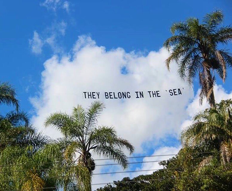 OP_Society's tweet image. We love this banner flying over #SeaWorld Gold Coast #Australia 🐬❤️ #EmptyTheTanks