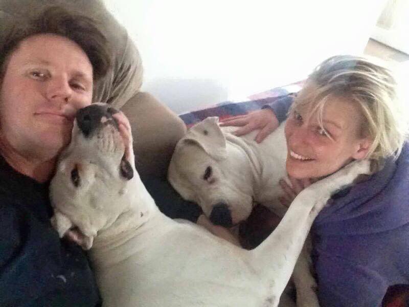 DogloverAri's tweet photo. Van ex-broodfokteef tot prinses Witte Bloem... Wat een happy end, Fleur! https://t.co/dYsQnvYuX4 #AdoptDontShop https://t.co/X50UKO09kv