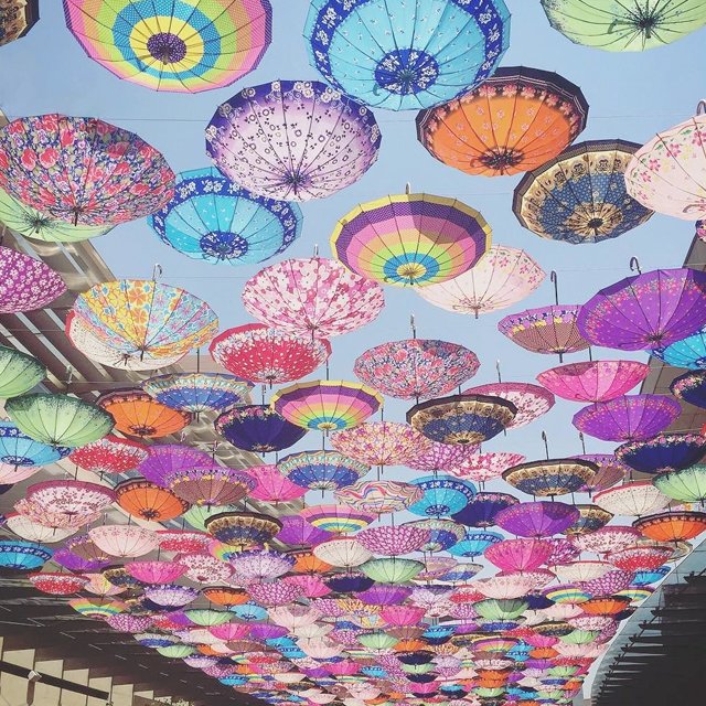 Look up, look up! #ChooseYourOwnMexicanAdventure #AntaraFashionHall #AntaraPolanco #Polanco #MexicoCity