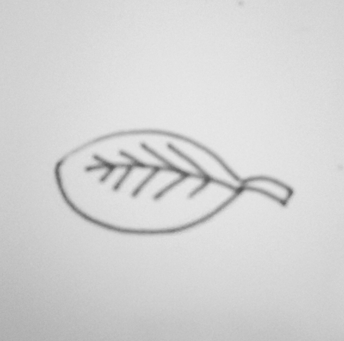 LiamCee_'s tweet photo. How I used to draw a leaf vs how I draw a leaf now https://t.co/tt739eC3hw