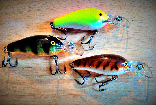 Bass Fishing Tips tweet media