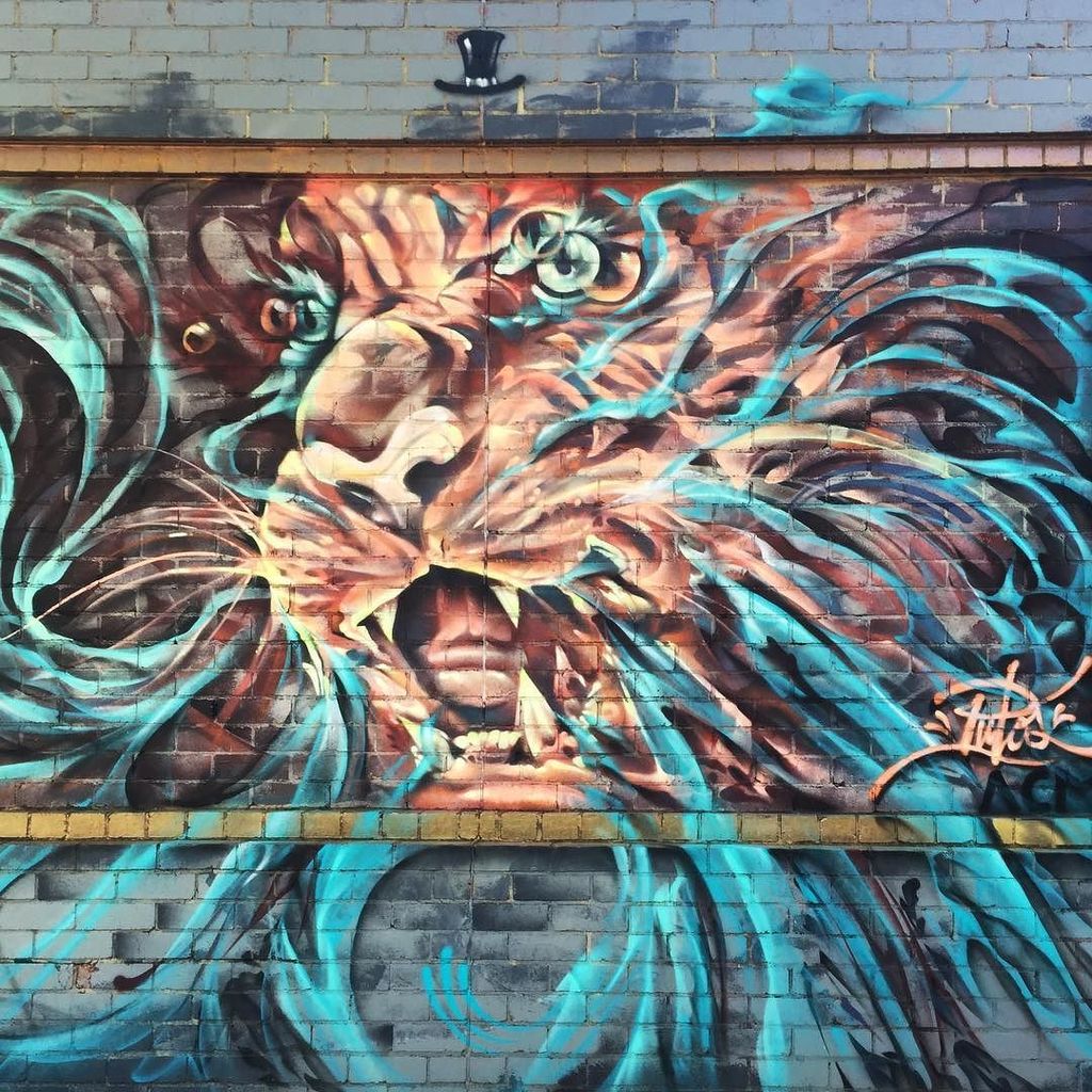 StArtEverywhere's tweet photo. Wonderful! @putospaint #putospaint #streetart #fotzroy #streetartmelbourne #melbournestreetart #urbanart #aerosol #… https://t.co/swCdzYVpbx